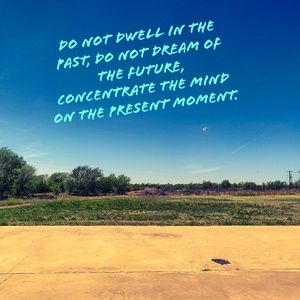 Meet your Posher, Patrick